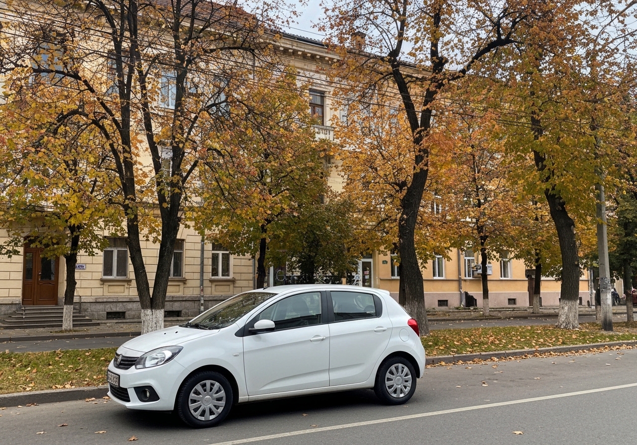 Rent car Baia Mare: cum alegi masina potrivita calatoriei - intrebari frecvente
